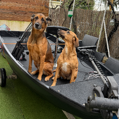 Allan_Pike13's avatar