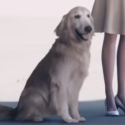 DJ_SantaMonica39's avatar