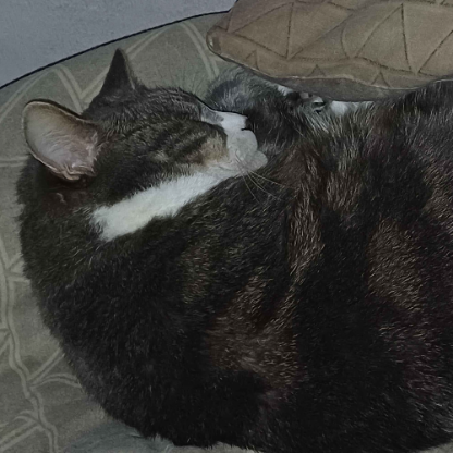 WeepyDeep111's avatar