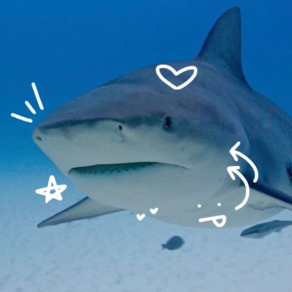 ILuvSharks_53's avatar
