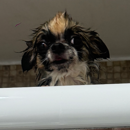 PedriNGimeneZ's avatar