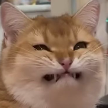 F1X0S's avatar