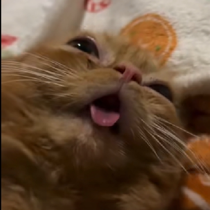 2152rvclj5pr's avatar