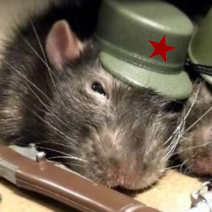 Soviet-Rat-King's avatar
