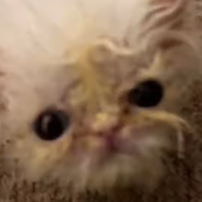 Shecho123's avatar