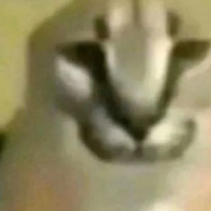 ali_alrubaie99's avatar