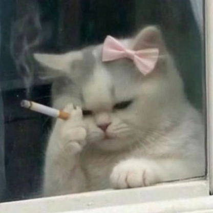 celiane3006's avatar