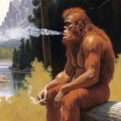 amatoorilaski's avatar