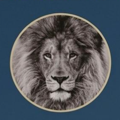 Boedo_Lopez's avatar