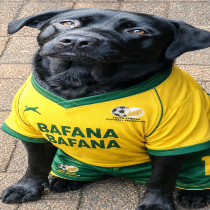 SlokkieFC's avatar