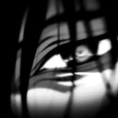 robinjvz's avatar