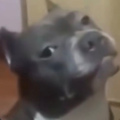 DJSdj4's avatar