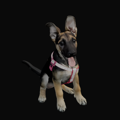 FMiranda77's avatar