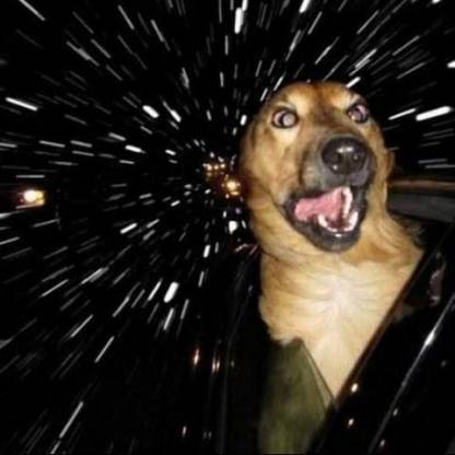 0aaf2bceac17d75e's avatar