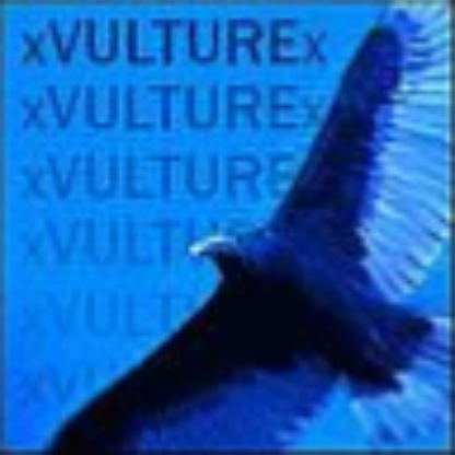 xVulture's avatar