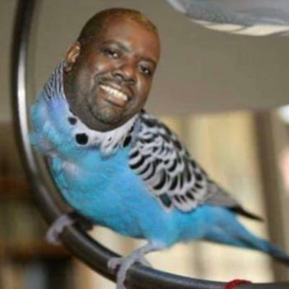 DelayFootball's avatar