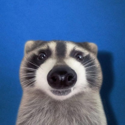 phone1x7's avatar