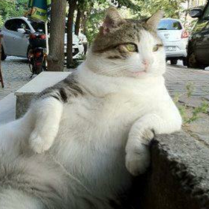 NameTropfen773's avatar