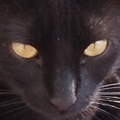 Sord-nil's avatar