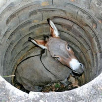 prisonertoxxx's avatar