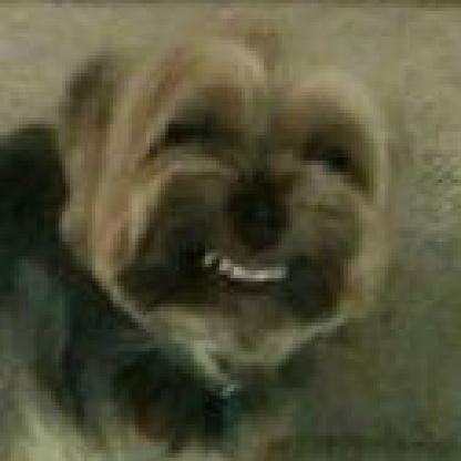 CampFreddy365's avatar