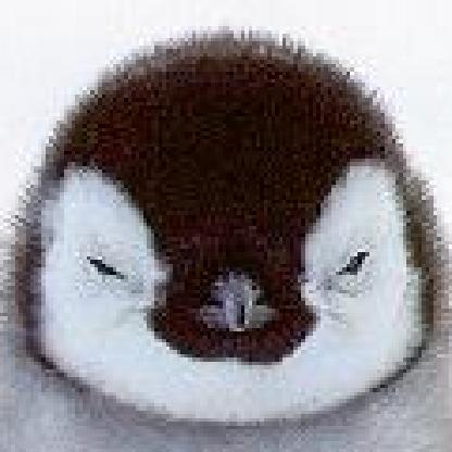 BabyGirlStoner's avatar