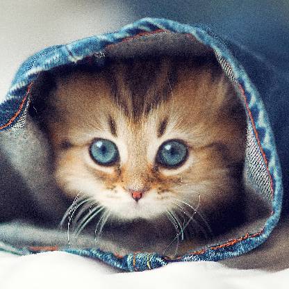 Twinkleishaq's avatar