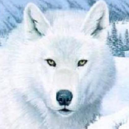 19whitewolf82's avatar