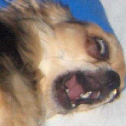 Hkl0x's avatar