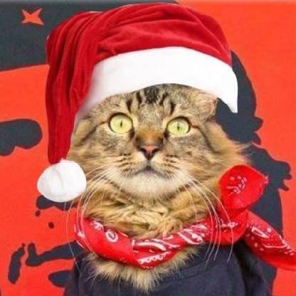 hermesbird1's avatar