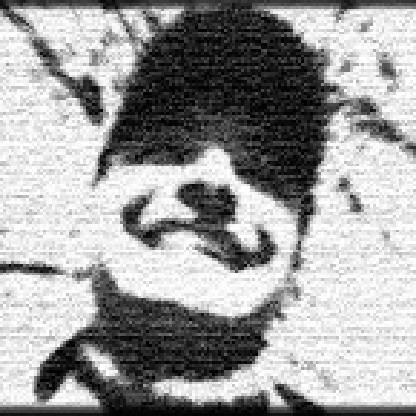 PatronTT's avatar