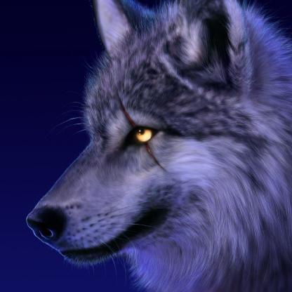 Huskers2143's avatar