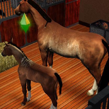 arabians2go's avatar