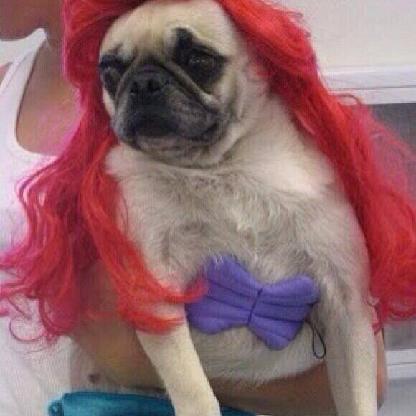 manoloropero93's avatar