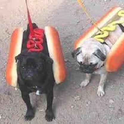 preschoolchamp's avatar