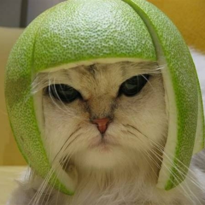 Mr_Peddiwinkle's avatar