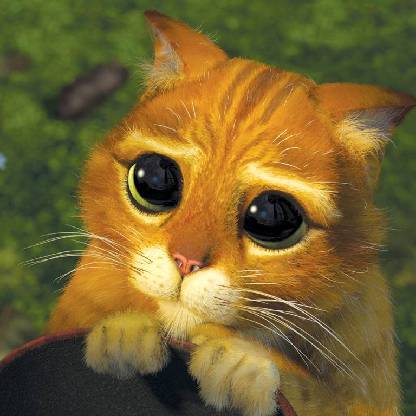 7039b62ca5fdefeb's avatar