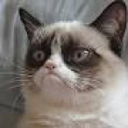 ChaosKitten666's avatar