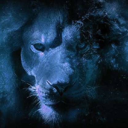 BlackLion2082's avatar