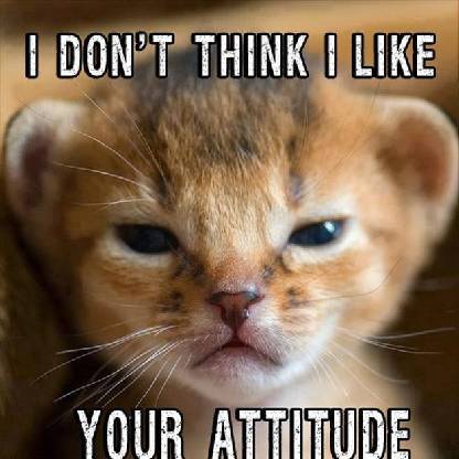 oXoArchangeloXo's avatar